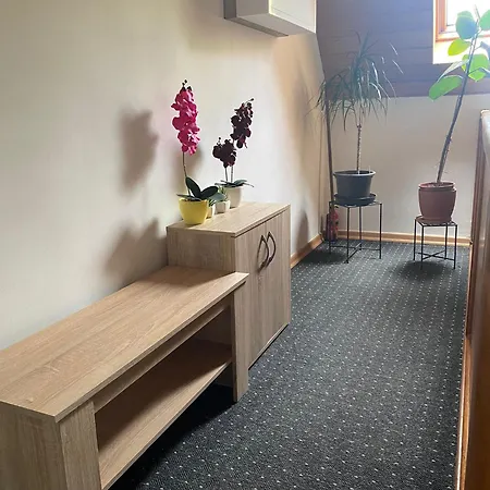 Apartamento Andreea *